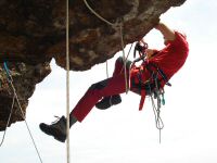 DSCF6750.jpg